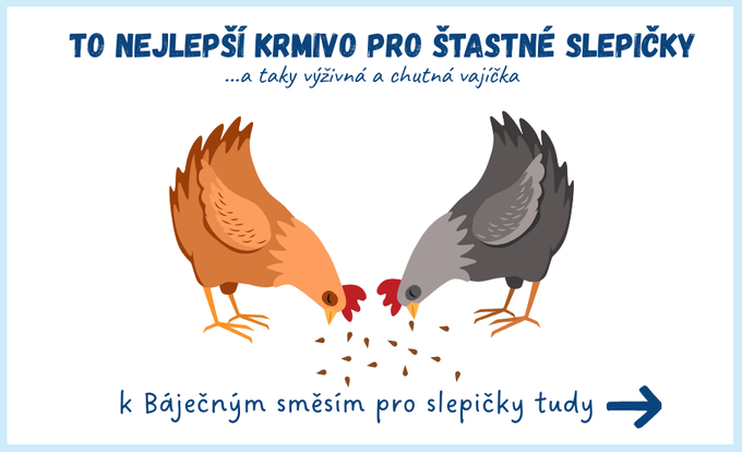 Báječné směsi pro slepičky