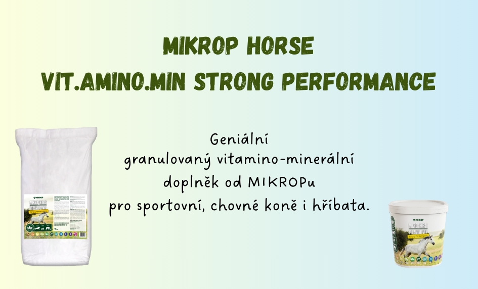Vit.Amino.Min Strong Performance