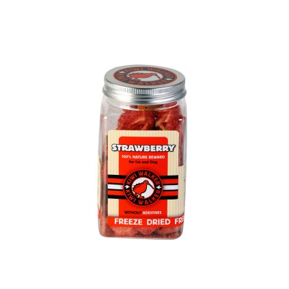 mrazem susene jahody 25 g