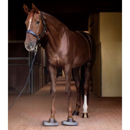 6319610 14 1920x1920