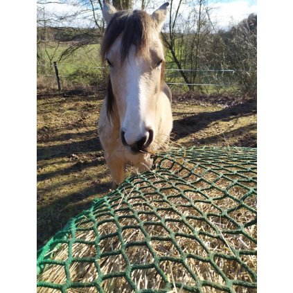 Síť na BALÍK 6 (PP)