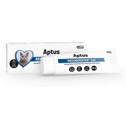 Aptus Reconvalescent Cat pasta 60g 0505201714534976486