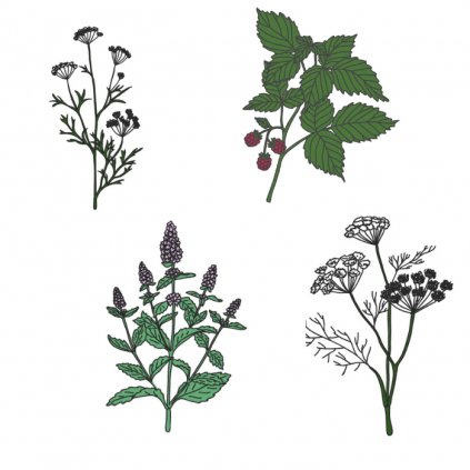 4EF00CBC F5FC 4A3B 8794 FCB9ADBC6C1E