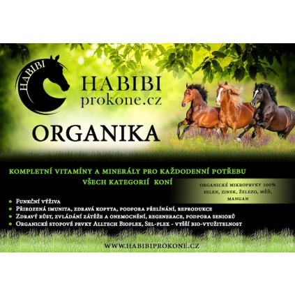 ORGANIKA