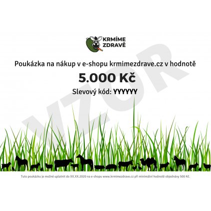 Dárkový poukaz 5000 Kč