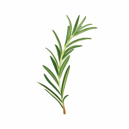 1D0E1D9B C6A9 4696 BD4B DD0D6776B37C