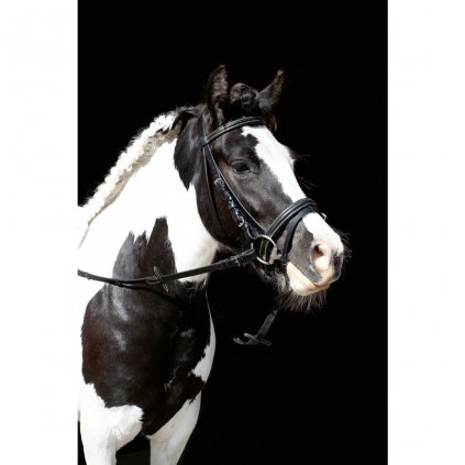 E4C50AD8 BDF3 461B 8ABE 939EC66B88F6