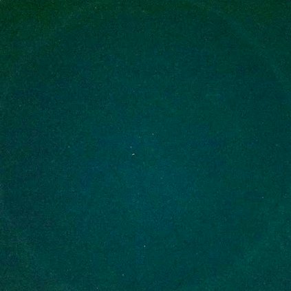 spirulina