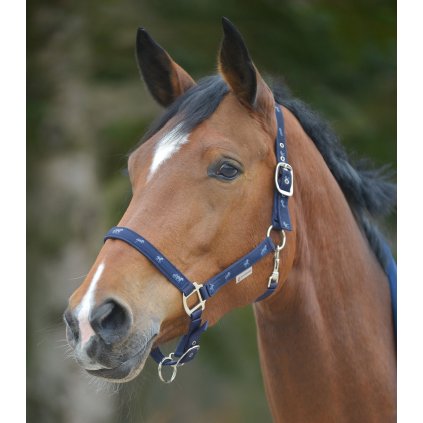 3ABBD8D3 92BA 4E0E 9CC3 FD919D56DCD6