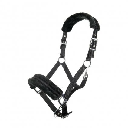 C758DA7E 597E 4367 A3B8 6A2D0778899B