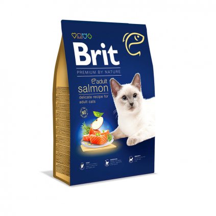 brit cat salmon