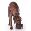 miska pro psy buddy4