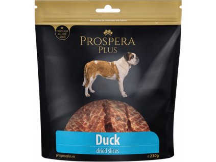snack Duck dried