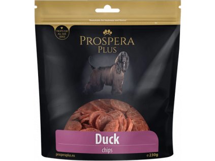 snack Duck chips