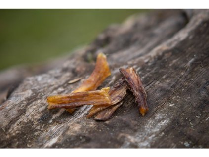 105 5 105 4 susena vazovice krajena 1