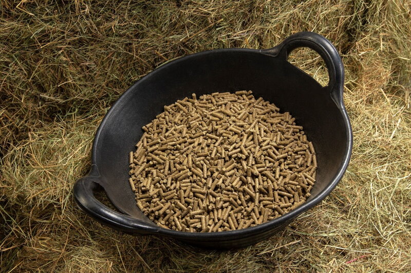 Vybrať si granule alebo sypké krmivo?
