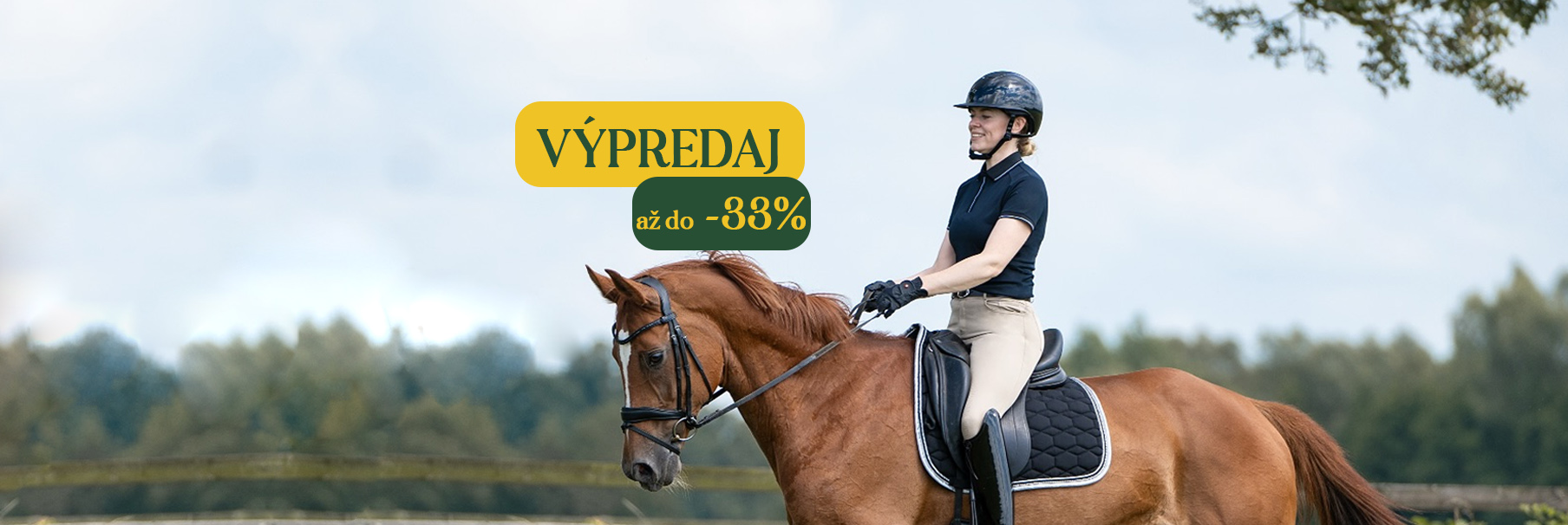 vypredaj