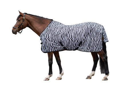 4668 1291 model front 1