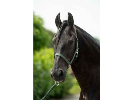 6614 5300 moodpictures 1 62250