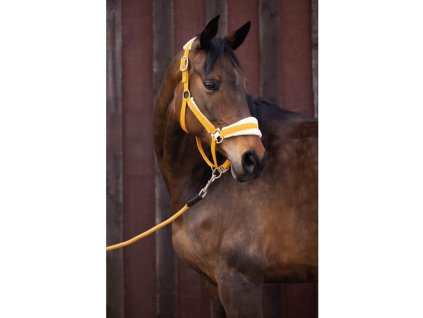 15388 1050 moodpictures 6 73710