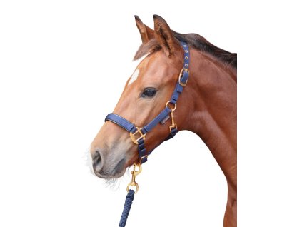 Ohlávka pre žriebätá TopLine