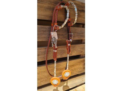 Westernová uzdička „Silver Elegance Two Ear“