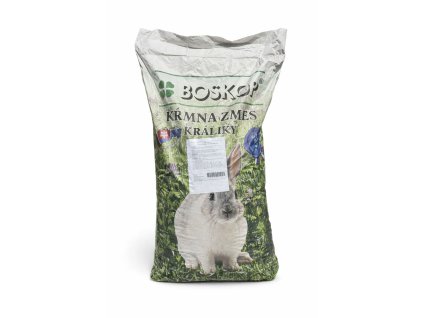 ChatGPT Image 16. 1. 2026, 06 21 55