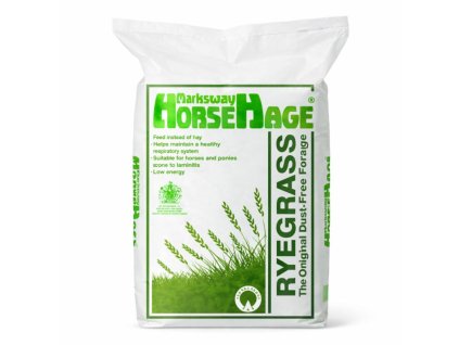 ChatGPT Image 19. 1. 2026, 03 19 06