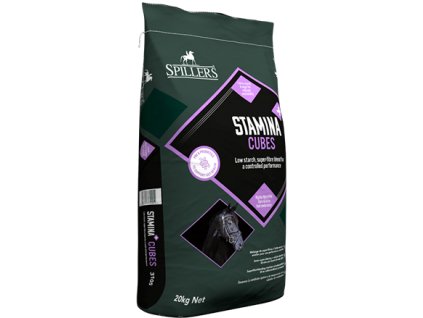 Stamina cubes 20 kg