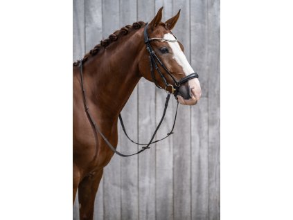 Uzdička Nicole s hanoverským nánosníkom