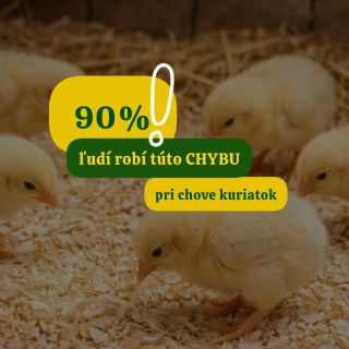 🐣 90 % ľudí robí pri kuriatkach túto chybu. TEPLOTA. Nemusíš mať presný teplomer. Stačí sledovať ich správanie 🐥: 🐥...