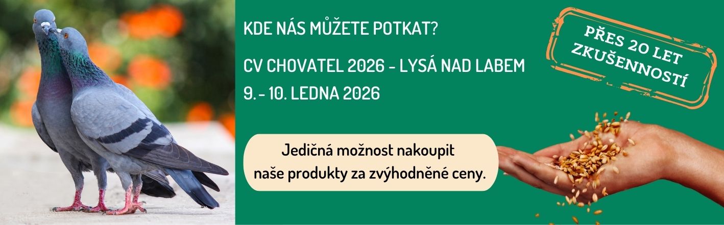 Výstava CV - Lysá