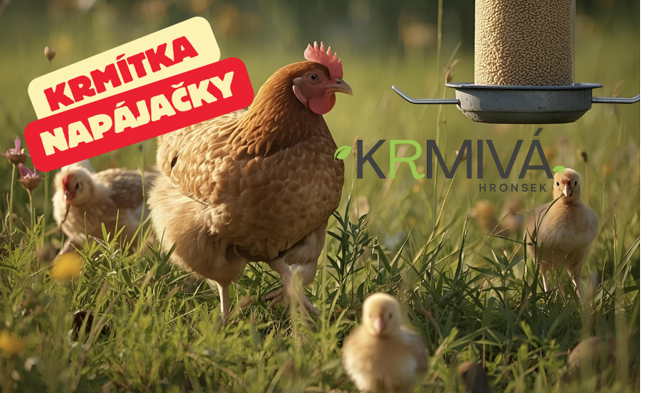 Krmítka a napájačky