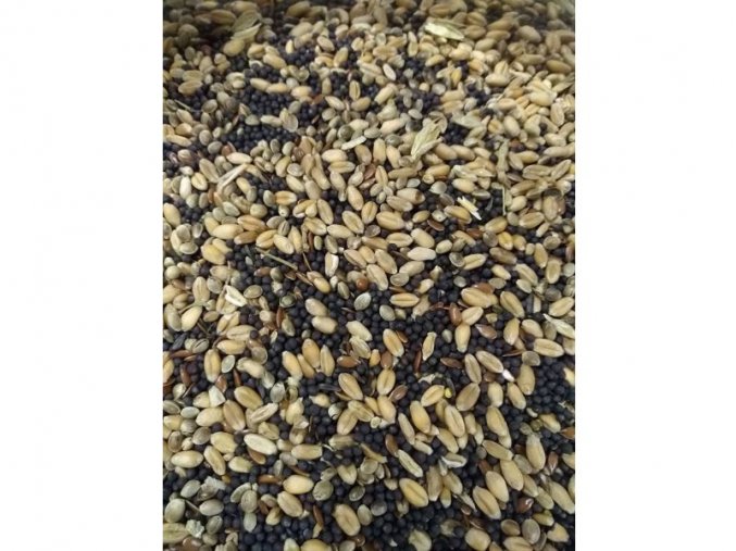 Partlikový mix suchých semen pouze malá seminka akce  1kg 39kč