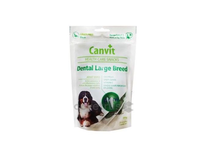 canvit dental large