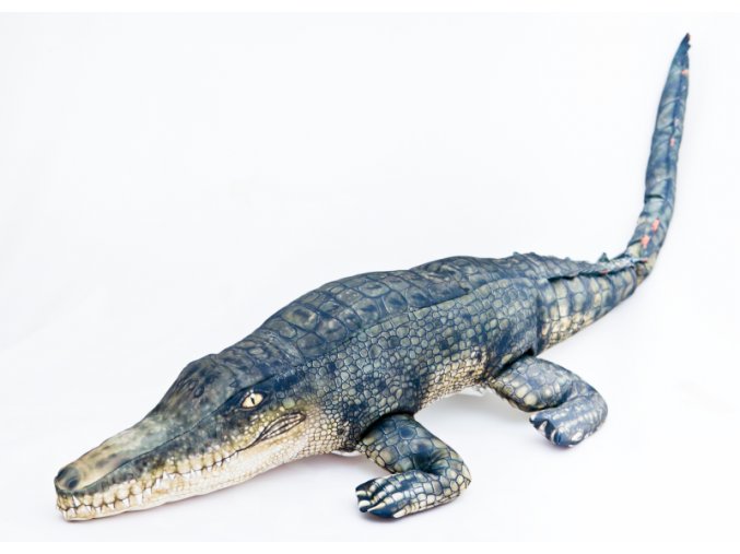 krokodyl1