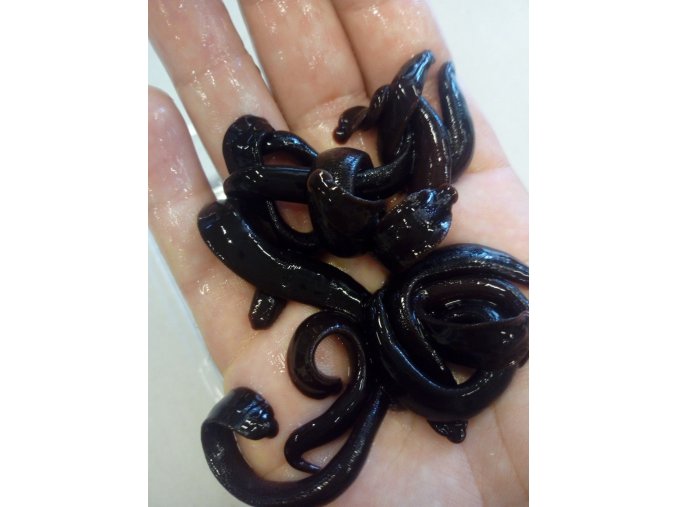 353431356 1808462219570292 9131361181635305741 n