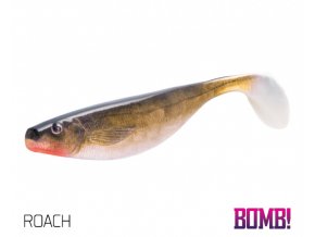 roach