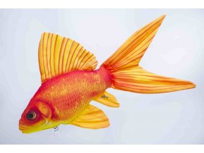 gaby -Zlatá rybka  60cm u nás nejlevněji