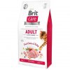 Brit Care Cat GF Adult Activity Support