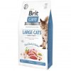 Brit Care Cat GF Large cats Power&Vitality