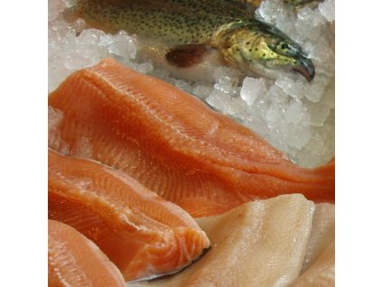 BioMar trout filet 1