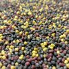 feeder mix 2mm 1