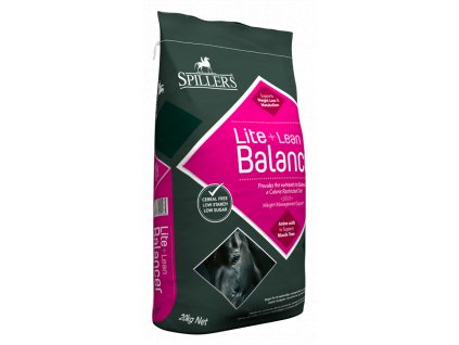 lite lean balancer right