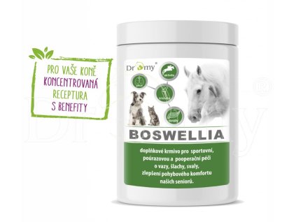 Dromy BOSWELLIA FORTE 750 g
