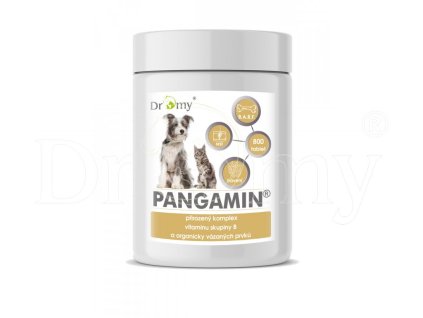Pangamin® 800 tablet