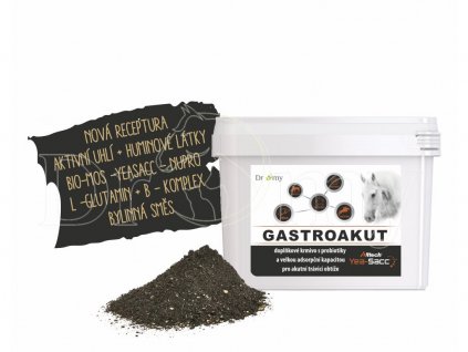 363 1 gastroakutn