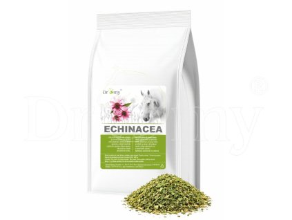 Echinacea nať 1kg