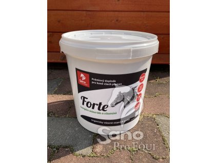 forte 10kg