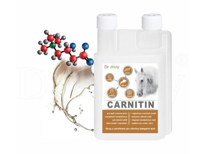 Dromy L-Carnitin sirup 1 l